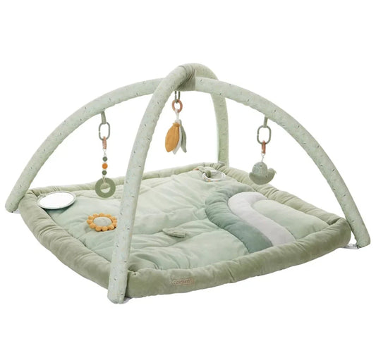 Tapis d'éveil avec arche - Combelle - VERT BB Cigogne