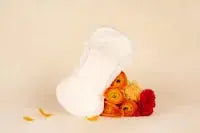 Serviette et protection BB Cigogne