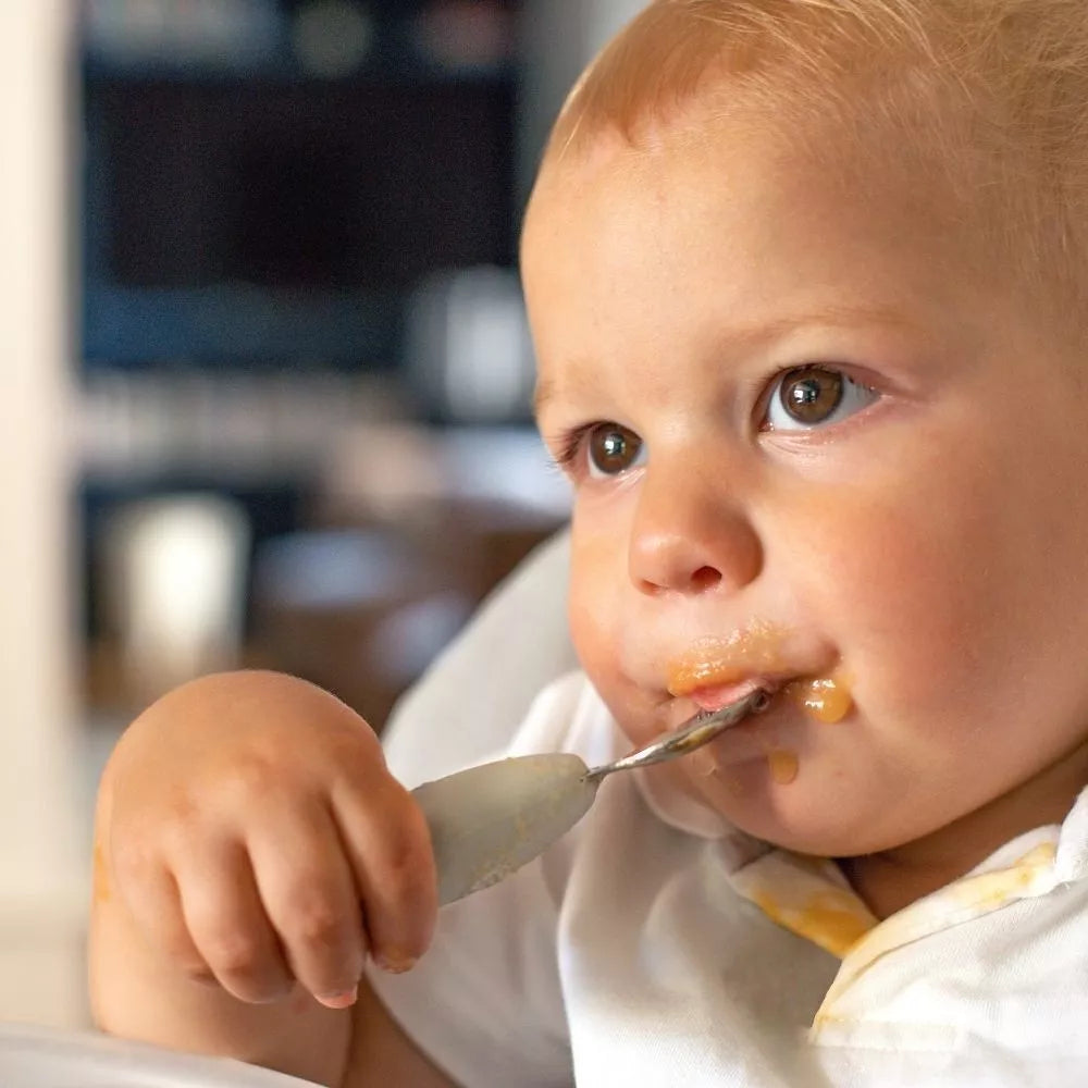 BEABA, Lot de 2 pré-couverts inox - GRIS Beaba