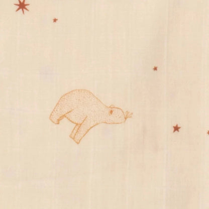 Langes 70x70cm en coton bio boite de 3 - ORSINO BB Cigogne