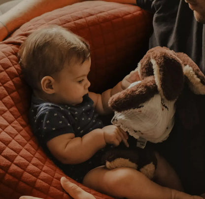 Coussin Allaitement BIG FLOPSY BEABA - BRIQUE Beaba