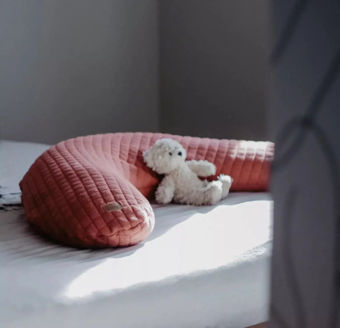 Coussin Allaitement BIG FLOPSY BEABA - BRIQUE Beaba