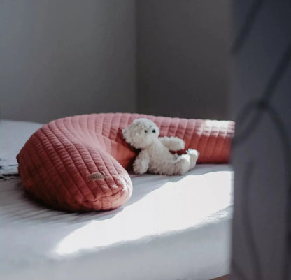 Coussin Allaitement BIG FLOPSY BEABA - BRIQUE Beaba