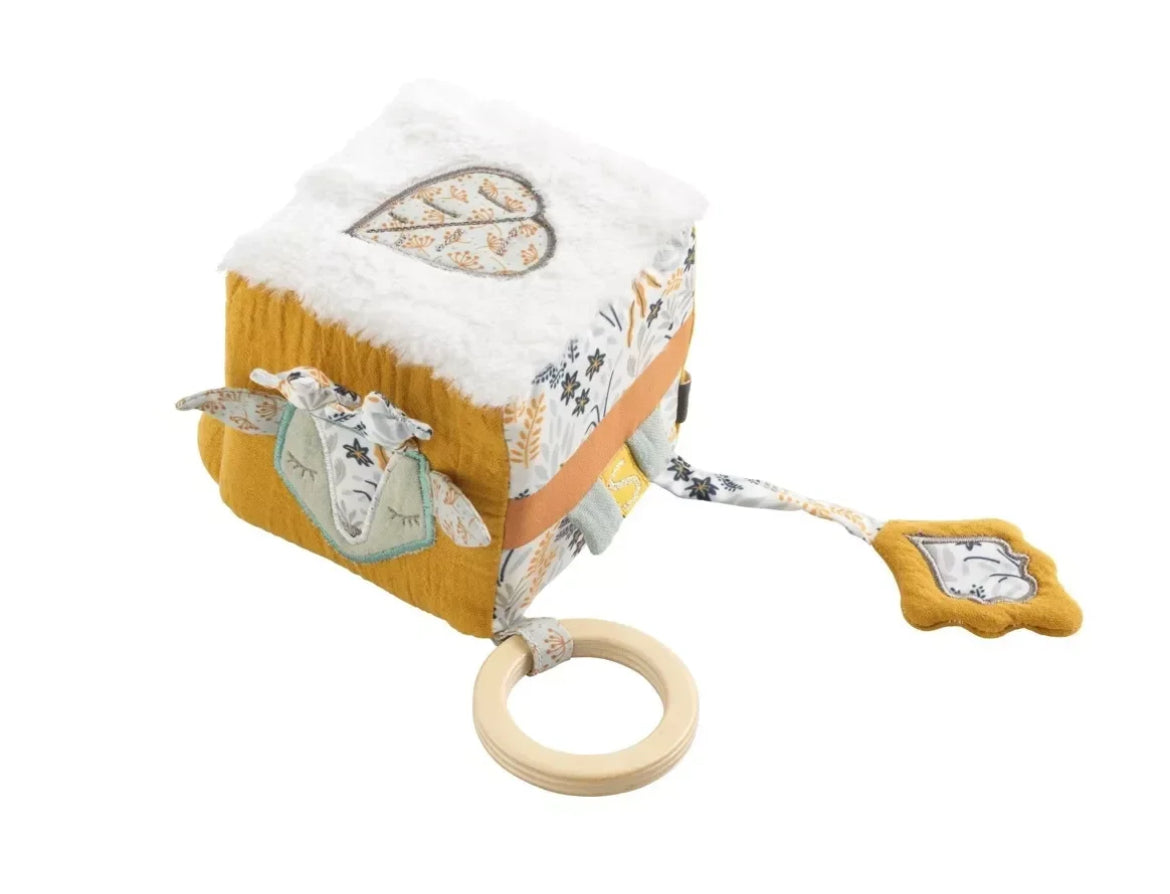 Cube d'activité - PROMENONS NOUS BB Cigogne