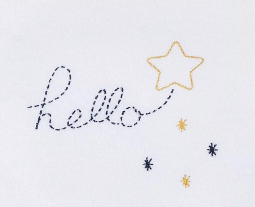 Lot 2 bavoirs - HELLO BB Cigogne